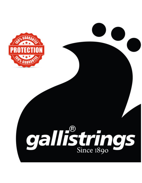 Cuerda 1 Laúd Galli (Par)