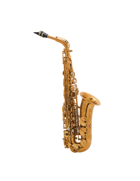 Saxo Alto Reference Goldmessing Grab.DGG