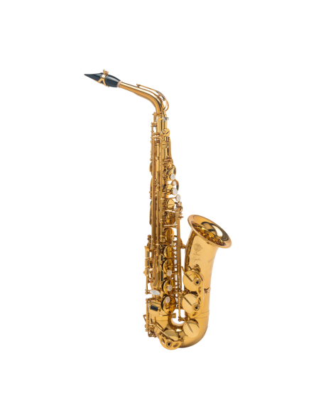 Saxo Alto Selmer Signature Dorado Goldmessing Grabado (DGG)
