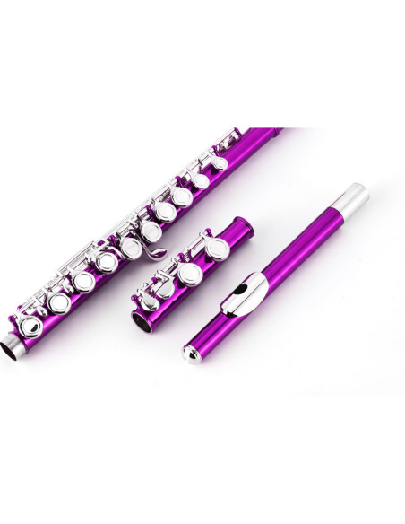 Flauta Travesera Taylor Collins TCFL-538PK Platos cerrados Rosa