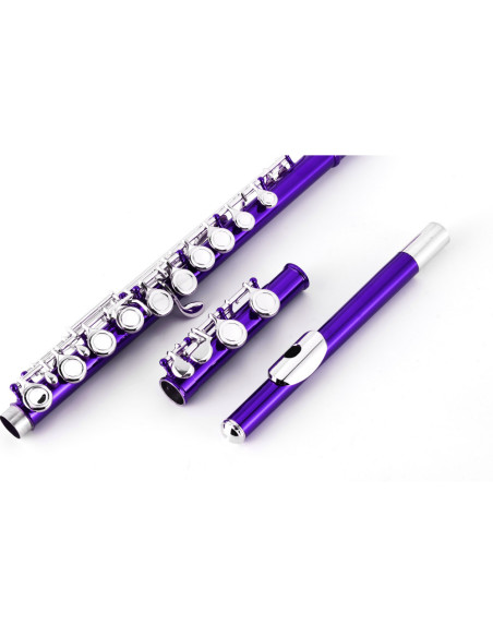 Flauta Travesera Taylor Collins TCFL-538PR Platos cerrados Púrpura