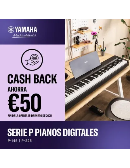 Yamaha P-145B