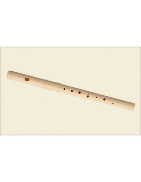 Flauta Pifano Aulos C-21 Travesera 2 Piezas