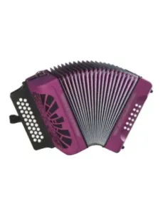Acordeón Hohner Rey Vallenato GCF A-4922 Negro 2