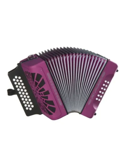 Acordeón Hohner Rey Vallenato GCF A-4922 Negro