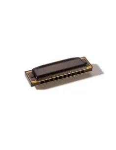 Armónica Hohner Pro Harp 20V 562/20 (B) 2