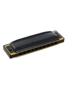 Armónica Hohner Pro Harp 20V 562/20 (F#) 2