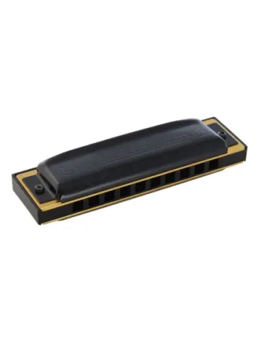 Armónica Hohner Pro Harp 20V 562/20 (F#)