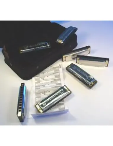 Maletin 7 Armónicas Hohner Blues Starter Set 91105