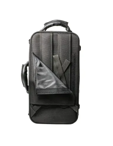 Estuche Saxo Soprano Curvo Omebaige BGR Series