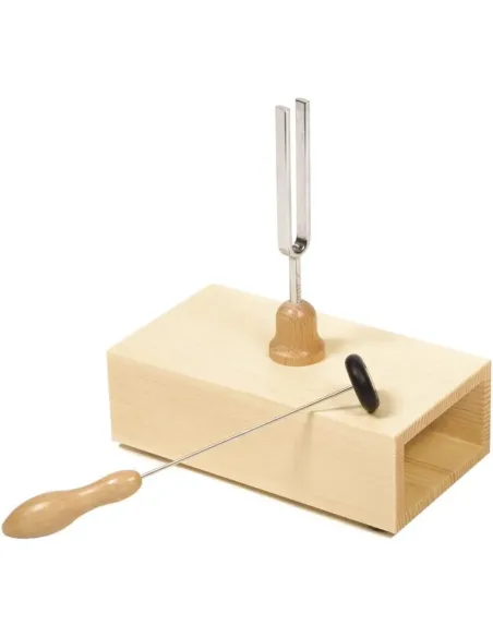 Caja Resonancia Con Maza Wittner 935440