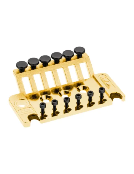 Recambios Floyd Rose Schaller Placa Base Dorado 20280500