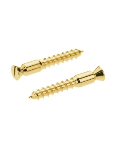 Recambios Floyd Rose Schaller 2 Torn. Pivote a Madera Dorado 20430500