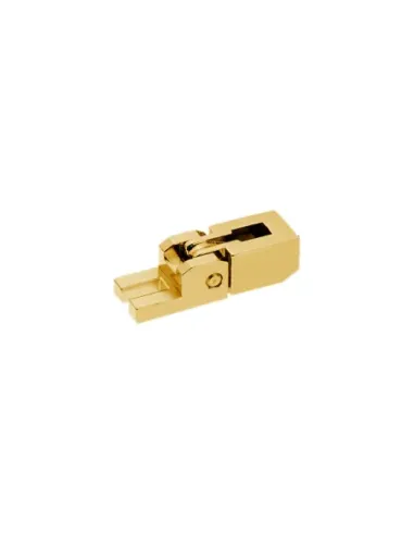 Floyd Rose Schaller Patin Cuerdas D+G (3 Y 4) Dorado 20060500