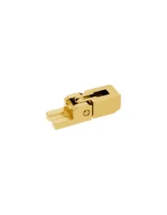 Floyd Rose Schaller Patin Cuerdas A+B (2 Y 5) Dorado 20060501 2