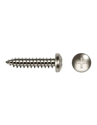 Tornillo Clavijero