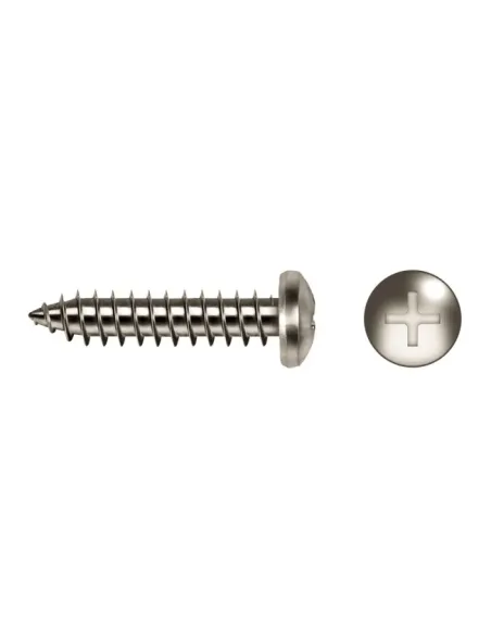 Tornillo Clavijero