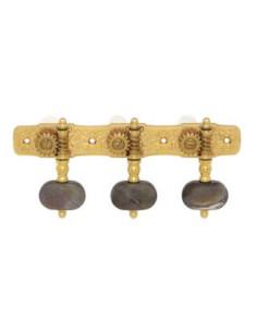 Clavijero Clásica Gotoh 35G510P-M-GG