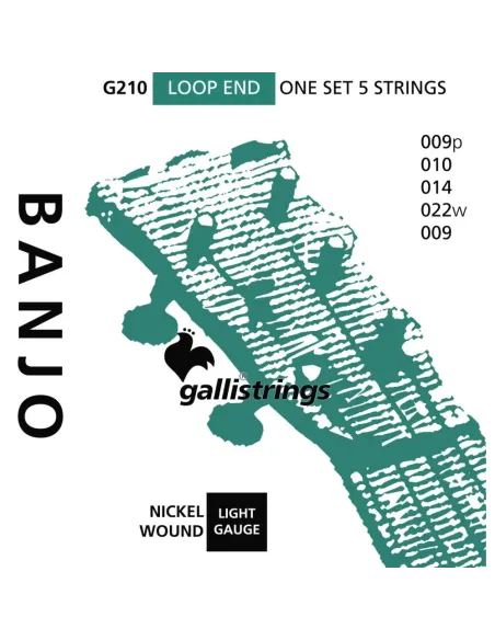 Juego Banjo 5 Cuerdas Galli G-210