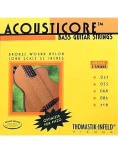 Juego Bajo Acústico 5 cuerdas Thomastik AB-345 41-118 2