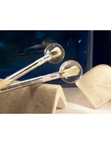 Mazas Lira/Carrillón Iñaki Sebastian G1/30 Standard