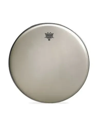 Parche Remo Ambassador Renaissance 14" RA-0014-SS