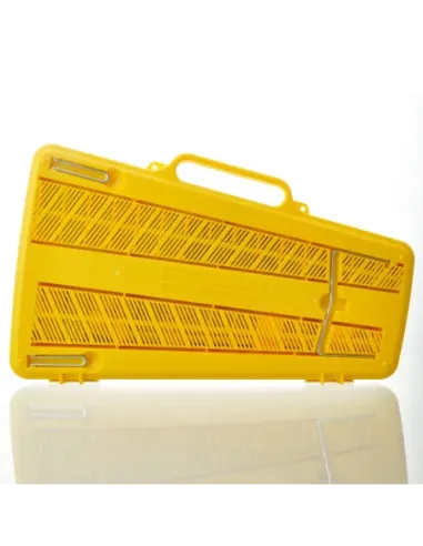 Carrillón Angel AG-25N3 Teclas Colores (Caja 16Uds)