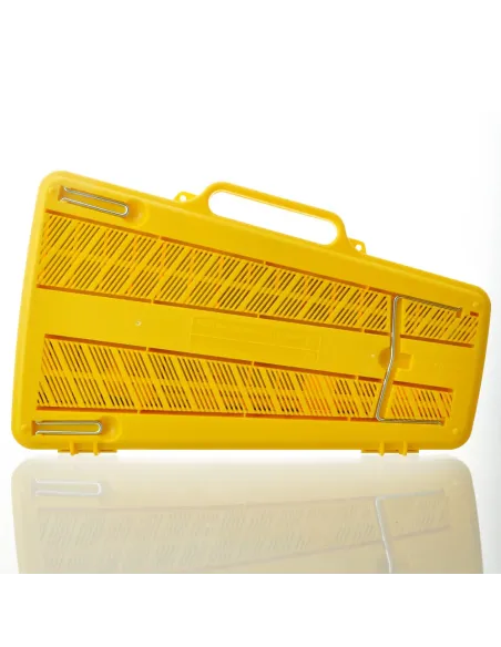 Carrillón Angel AG-25N3 Teclas Colores (Caja 16Uds)