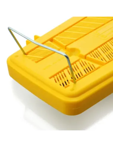 Carrillón Angel AG-25N3 Teclas Colores (Caja 16Uds)