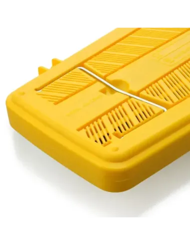 Carrillón Angel AG-25N3 Teclas Colores (Caja 16Uds)