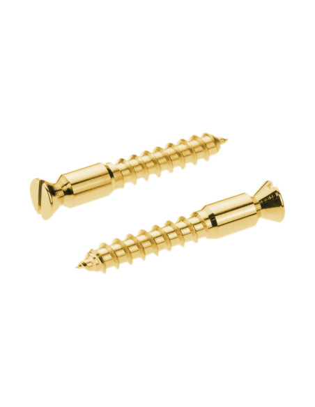 Recambios Floyd Rose Schaller 2 Torn. Pivote a Madera Dorado 20430500