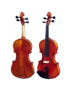 Violín Gaudieri HD-V31 C 4/4 2