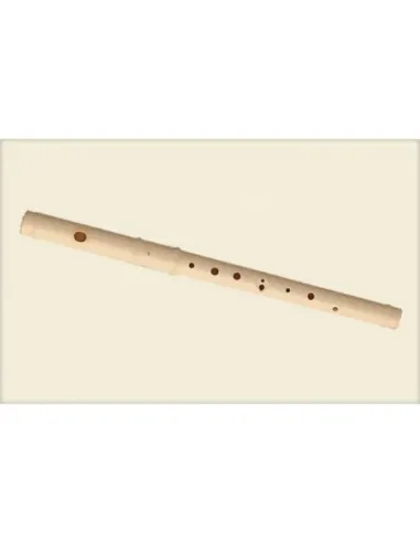 Flauta Pifano Aulos C-21 Travesera 2 Piezas