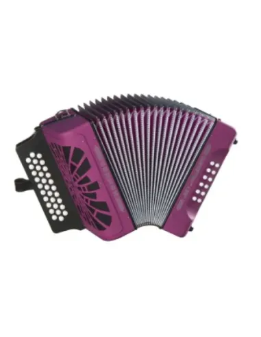 Acordeón Hohner Rey Vallenato GCF A-4922 Negro
