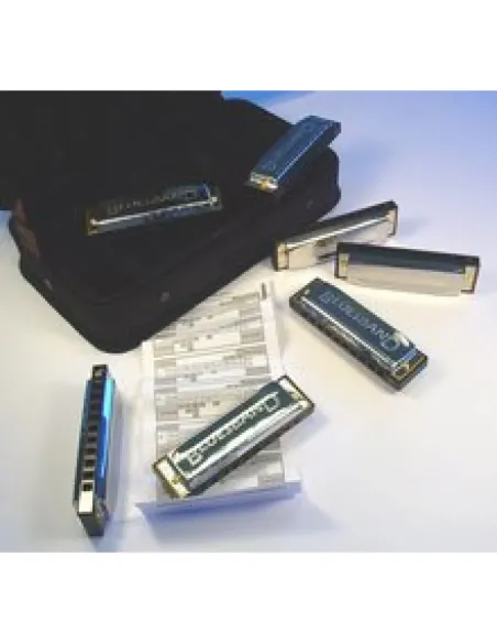 Maletin 7 Armónicas Hohner Blues Starter Set 91105