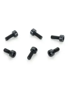 Recambios Floyd Rose Schaller Bolsa 6 Tornillos Bloq. Patin 20703000