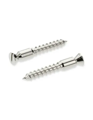 Recambios Floyd Rose Schaller 2 Torn. Pivote a Madera Crom 20430200