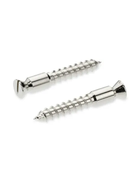 Recambios Floyd Rose Schaller 2 Torn. Pivote a Madera Crom 20430200