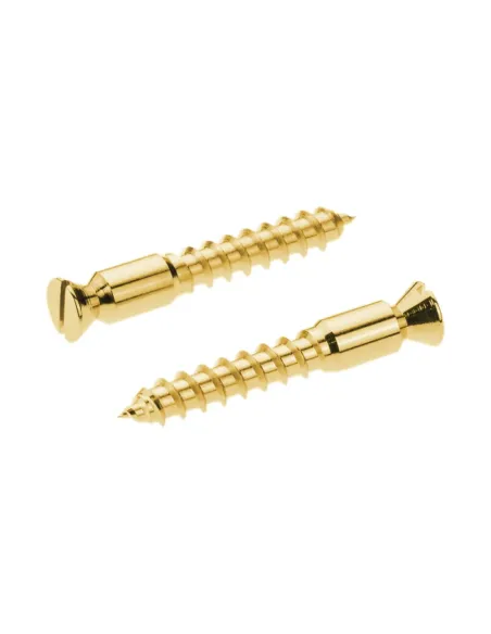 Recambios Floyd Rose Schaller 2 Torn. Pivote a Madera Dorado 20430500