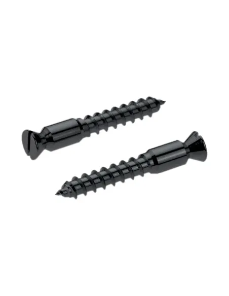 Recambios Floyd Rose Schaller 2 Torn. Pivote a Madera Negro 20430400