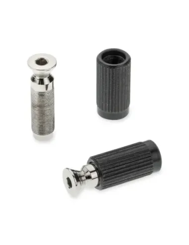 Recambios Floyd Rose Schaller 2 Tornillos Pivote Macho Crom 20120200