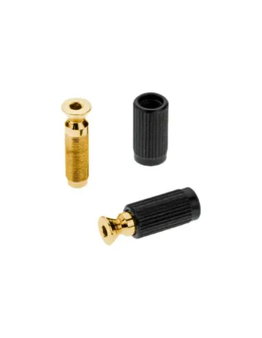 Recambios Floyd Rose Schaller 2 Tornillos Pivote Macho Dor. 20120500