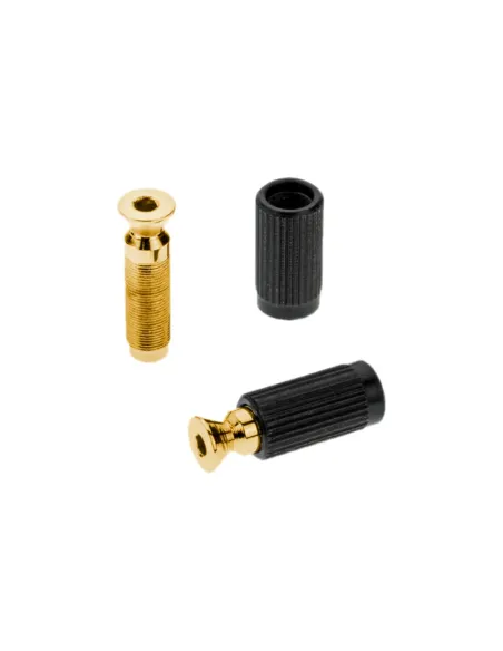 Recambios Floyd Rose Schaller 2 Tornillos Pivote Macho Dor. 20120500