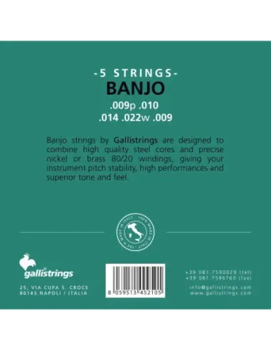 Juego Banjo 5 Cuerdas Galli G-210
