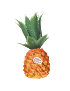 Fruit Shaker Rhythm Tech Piña RT2054