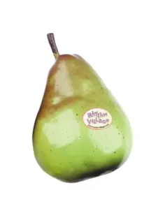 Fruit Shaker Rhythm Tech Pera RT2056