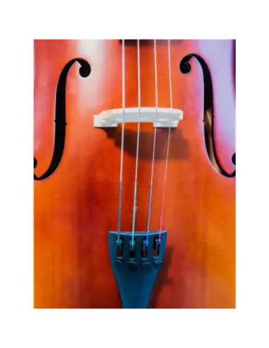 Cello Gaudieri HD-C11 4/4