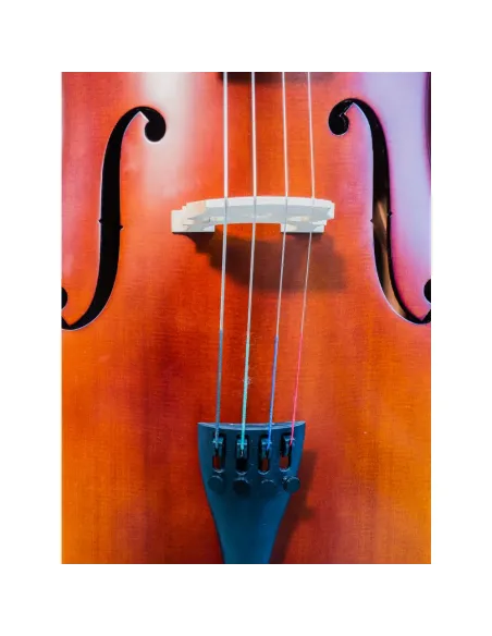 Cello Gaudieri HD-C11 4/4