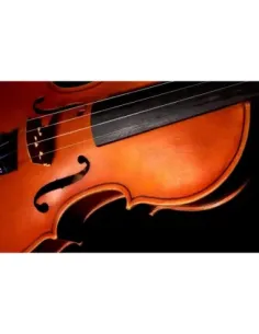 Juego Cuerdas Violín "Popular" G-105/4/4 2