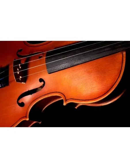 Juego Cuerdas Violín "Popular" G-105/4/4